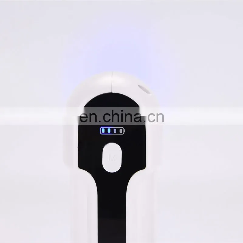 Newest Portable Cordless Sprayer Disinfection Fog Machine Multifunction Sterilization Nano Steam Spray Gun for Home Use