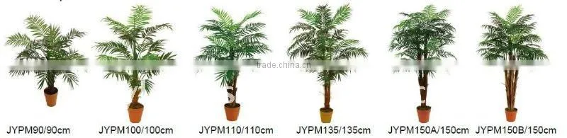 Mini palm tree