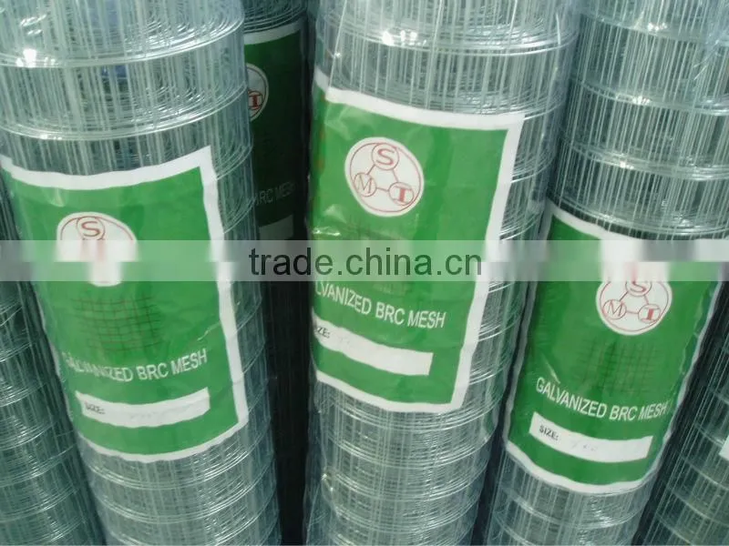 Welded Wire Mesh