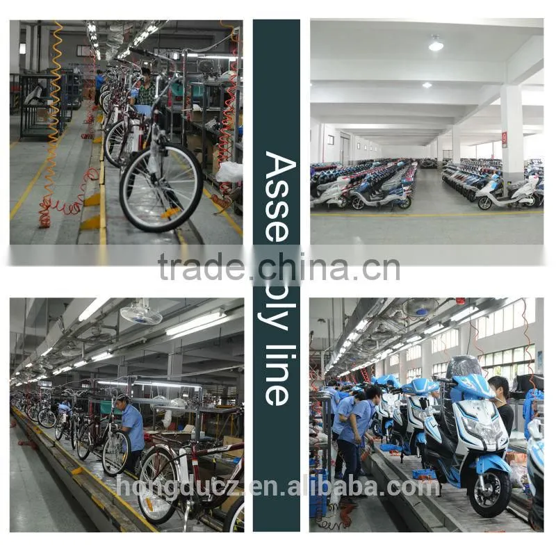 3 wheel handicapped 250W electric tricycle for adults