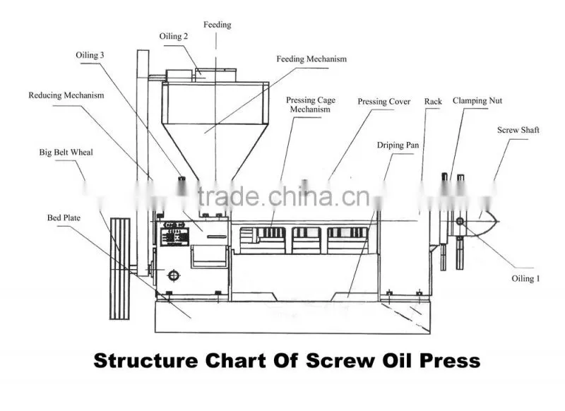 all kinds of seeds usage and new condition oil extraction machine