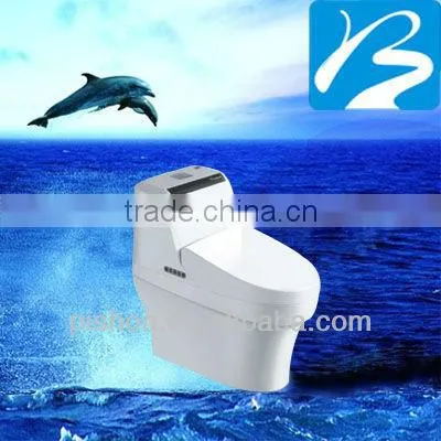 Indian Intelligent Toilet