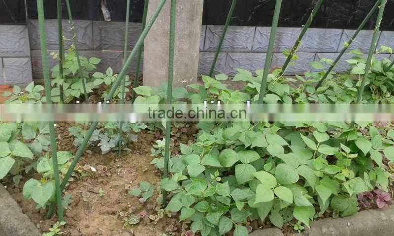 garden plants shelves