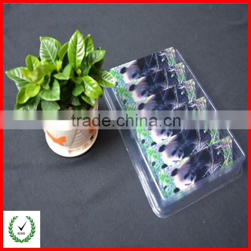 Clear plastic blister packaging