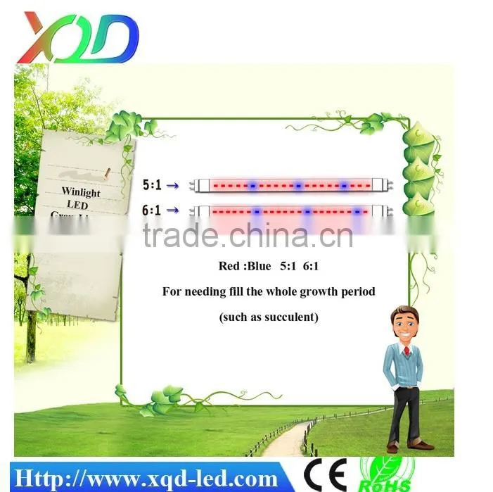 Indoor Gardening Lighting systems T8 LED grow light Bar LED grow light tube
