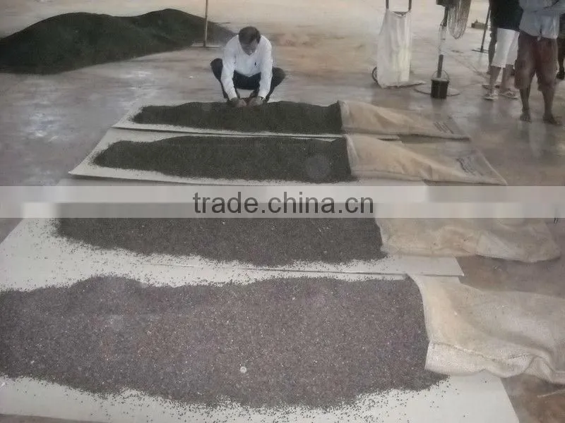 Pepper - agroviet@ (Skype: intimexna)