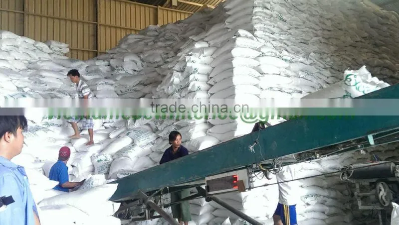 VIETNAM GLUTINOUS RICE/STICKY RICE 5%/10% BROKEN-LONG AN ORIGIN