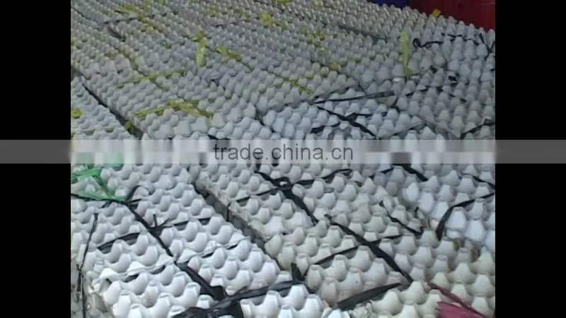 FRESH BROWN CHICKEN EGGS