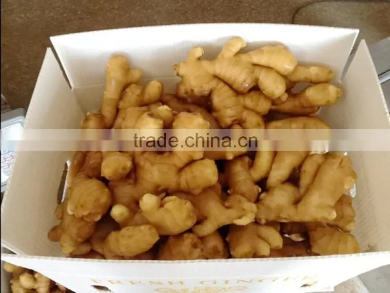 2014 new crop top quality fresh ginger market price for ginger