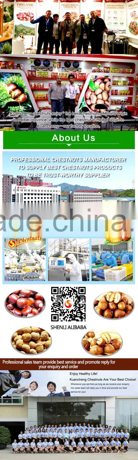 Hot sales IQF Chestnuts frozen chest nut
