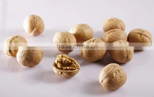 Chinese Supplier of dried walnut kernel for sale and with best quality walnut for hot sale