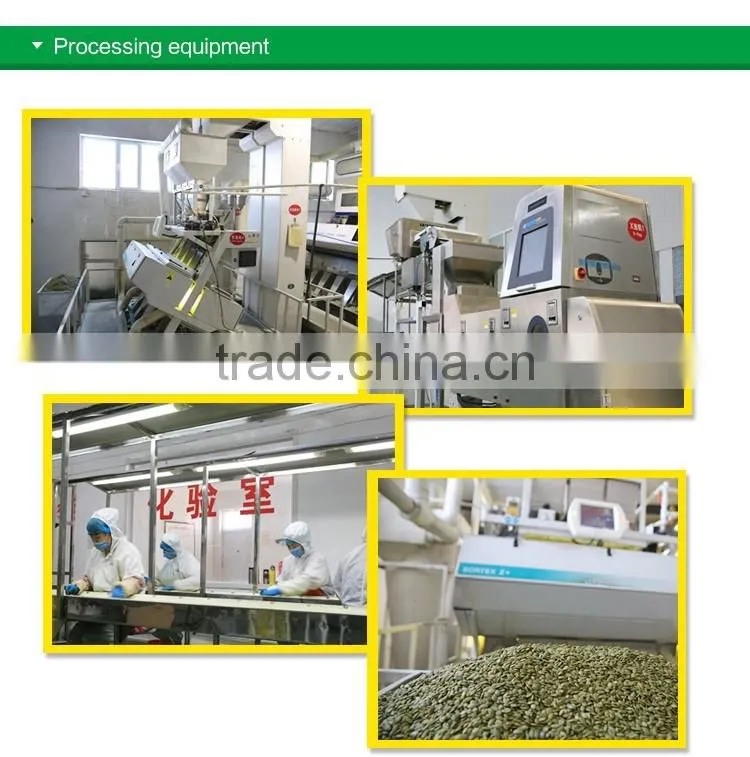 benefits of pumpkin seeds Wholesale snow white / shine skin pumpkin seeds competitive price