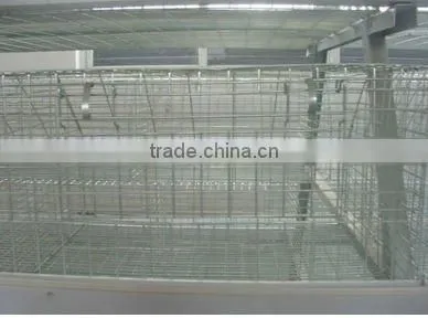 Automatic chicken cage