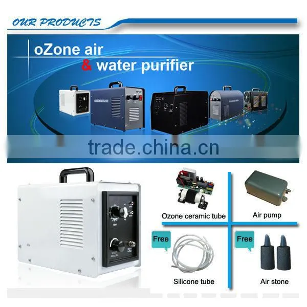 The 2013 Hot Sale portable ozone generator