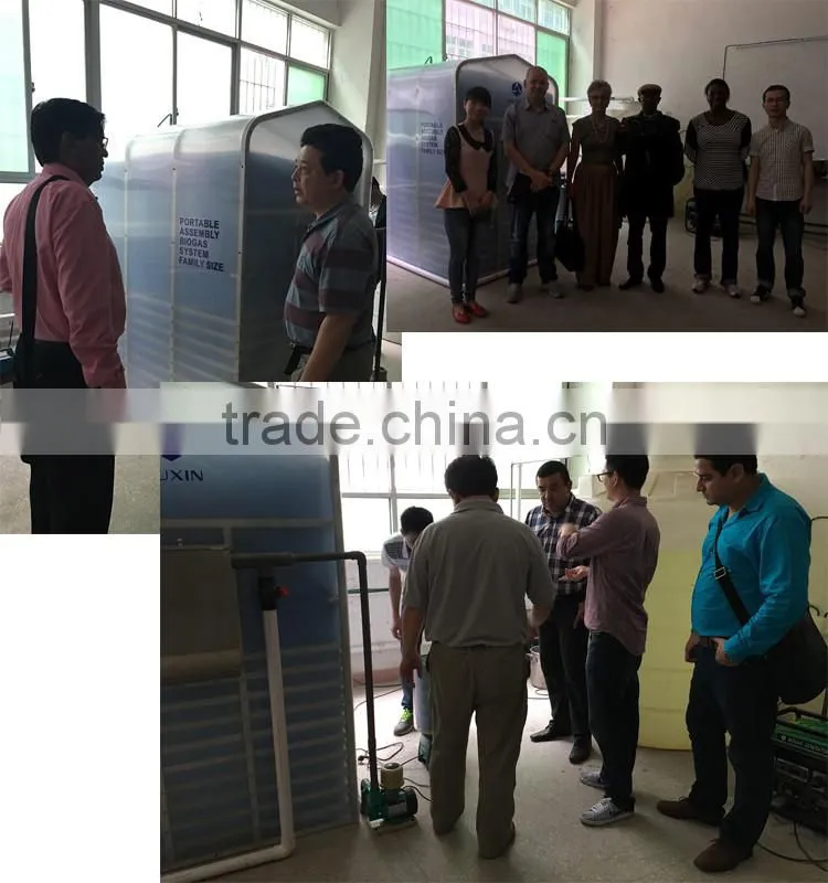 Mini portable assembly biogas system