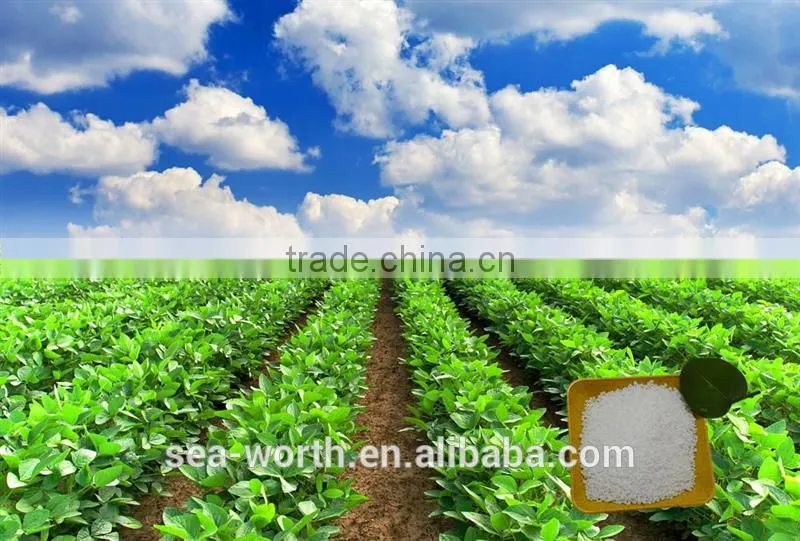 Best sell calcium ammonium nitrate prilled for potato with competitive price