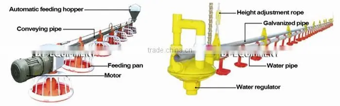 TA NO.1 Reduction sale galvanized and quality fittings growing broiler chicken cage