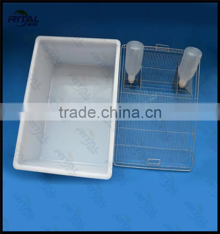 mouse group breeding rat breeding cage