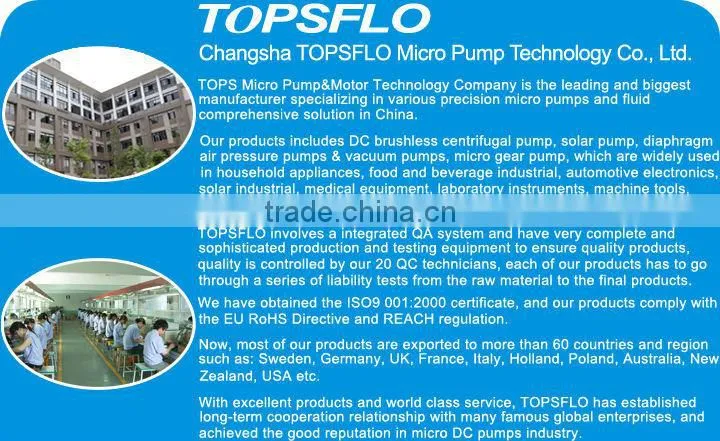 low noise dc 24v mini diaphragm vacuum,24v dc mini vacuum pump