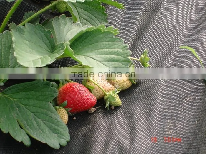Seaworthy Transparent Polybag Packaging PP Nonwoven Fabric Silt Fence