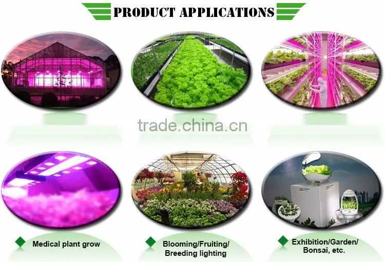 Online shopping grow tent kit hydroponics system,indoor plant supports 300w full spectrum led grow light