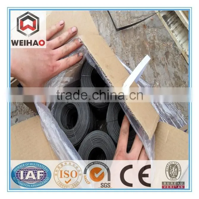 Electric Galvanized Wire Suitable for Construction/ Binding/ Baling and Tie