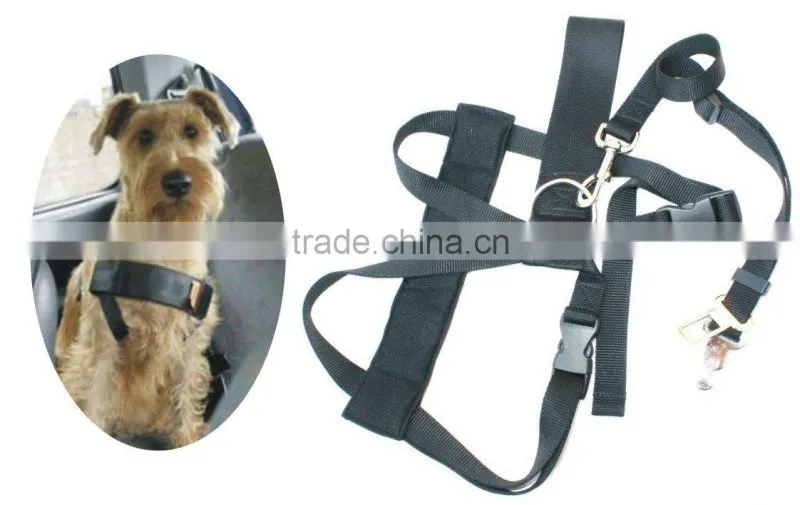 dog collar pet products