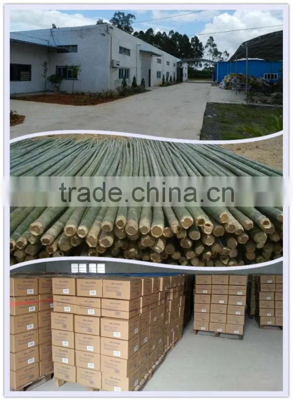 Bamboo Rattan Stick