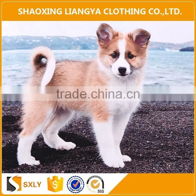 Super soft wholesale digital printing fleece blanket, furniture removal blanket