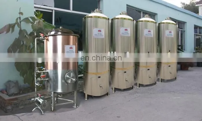 500L mini beer processing plant