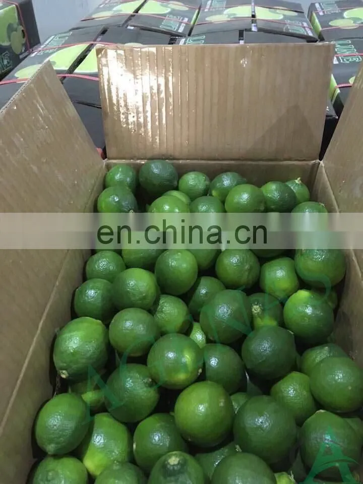 Fresh Lime/ Seedless Lime