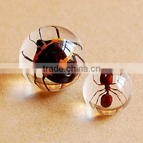 Real bug acrylic bouncing ball