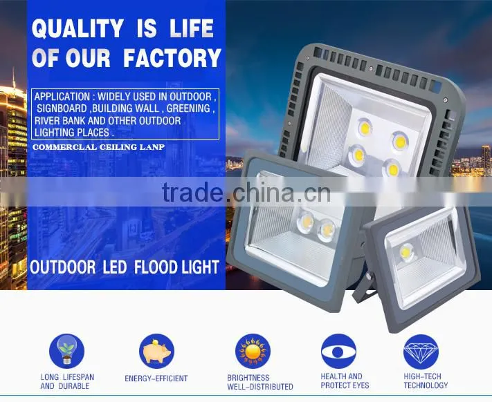 High Lumen Outdoor 50W COB LED Floodlight 100 Watt LED Flood Light