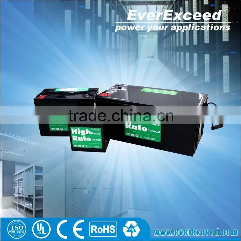 EverExceed high quality golf cart lithium battery for golf cart