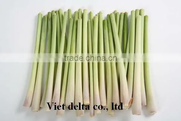 lemongrass/fresh lemongrass/dried sliced lemongrass