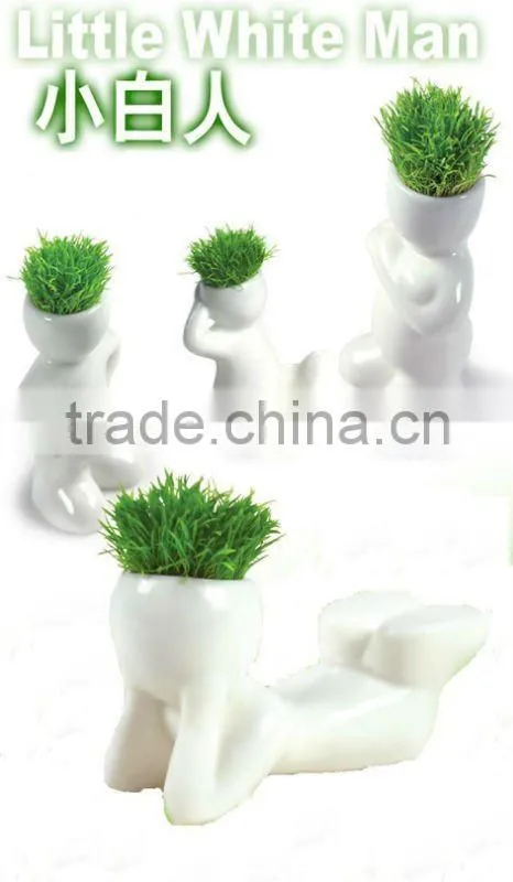 Little white man,Grass doll.Grass head