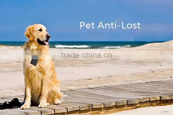 GLEESE Cheap Hidden GPS tracker for kids small pets Dog Wallets Bags