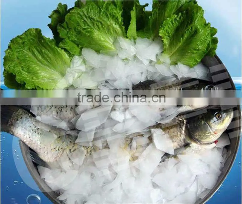 French Polynesia flake ice plant for seafood,fruits cooling