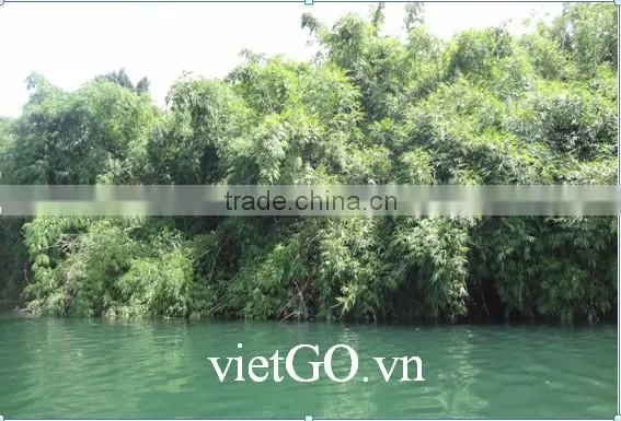 Cheap Price Bamboo Pole