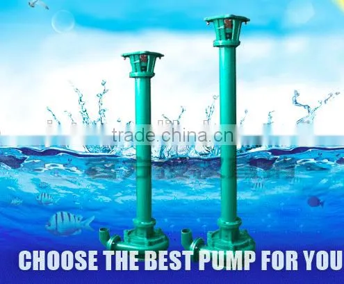 JT-1.5 Vertical Submersible Sewage Mud Pump For Stool