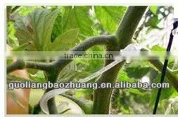 Many Sizes Plastic Plant Support Clip