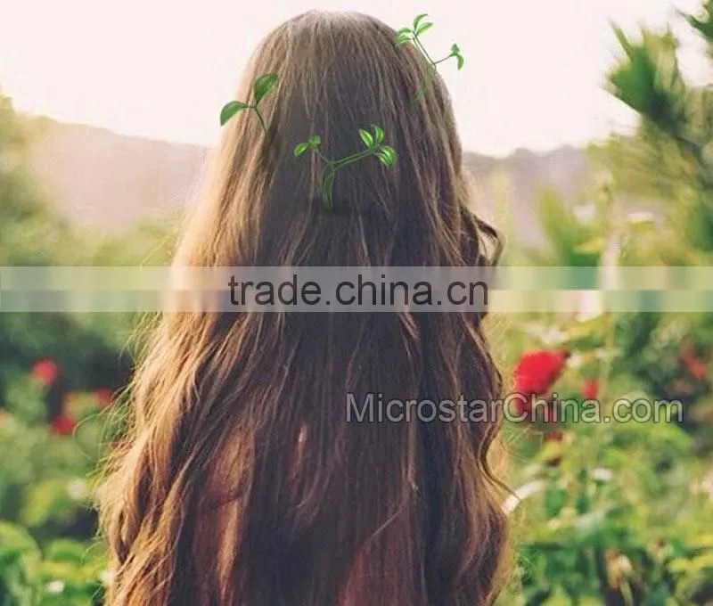 2015 Hot Holiday Gifts Bean Sprout Hairpins Bean Sprouts Flower Fruits Plants Grass Antenna Hairpins