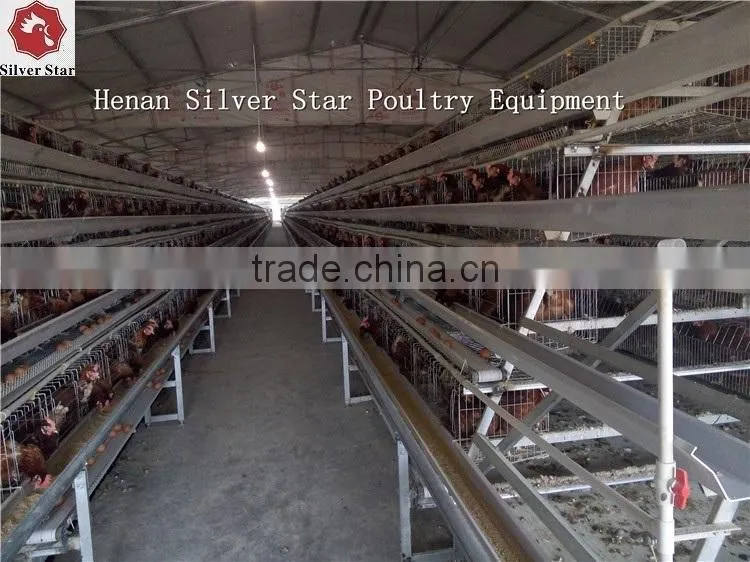 36 50 Stainless Fan Blade Tunnel Ventilation Fans