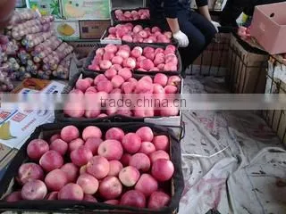 Lixian Richshine Fruits & Vegetables Co., Ltd. company overview - view 1