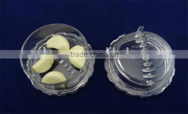 HOT Multipurpose Plastic Kitchen Garlic Ginger Mincer