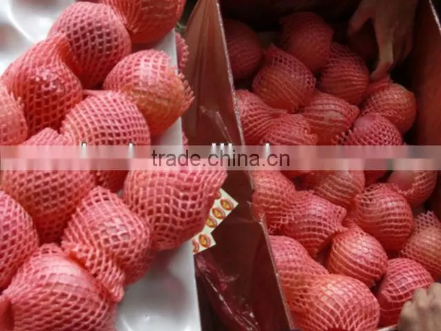 2015 fresh Fuji apple on sale in hot sale season with high quality and lowest price