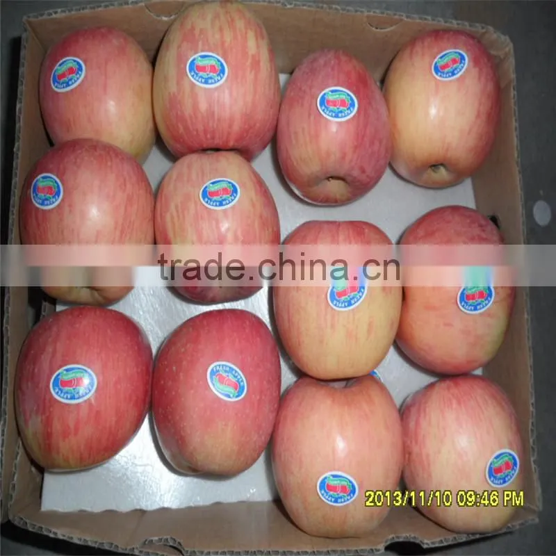 High Quality Fresh Apple