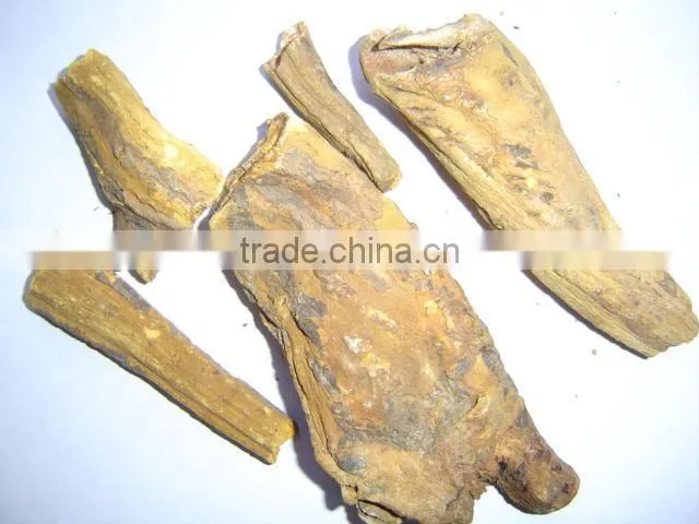 Radix Rhizoma Rhei