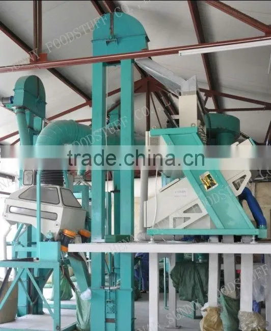 Pure White Onion Powder 100-120Mesh