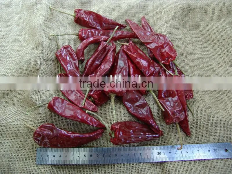 spices chinese dry red hot chilli pepper 2013 crop